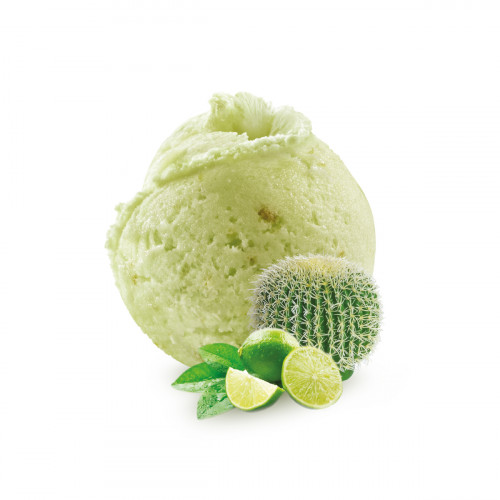 Helado Cactus Limon verde (500ml)